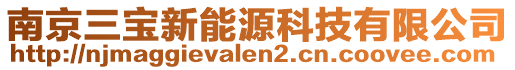 南京三寶新能源科技有限公司