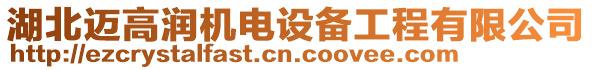 湖北邁高潤機電設備工程有限公司