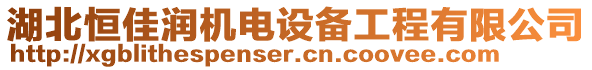 湖北恒佳潤機(jī)電設(shè)備工程有限公司