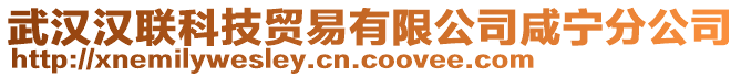 武漢漢聯(lián)科技貿(mào)易有限公司咸寧分公司