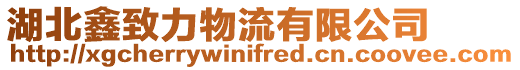 湖北鑫致力物流有限公司
