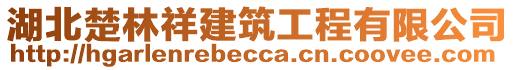 湖北楚林祥建筑工程有限公司