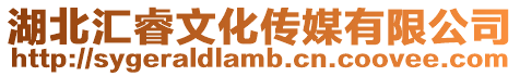 湖北匯睿文化傳媒有限公司