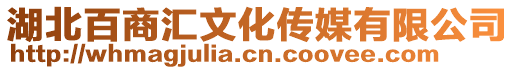 湖北百商匯文化傳媒有限公司