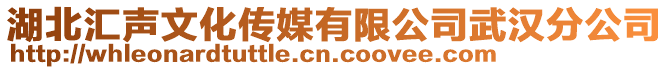 湖北匯聲文化傳媒有限公司武漢分公司