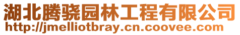 湖北騰驍園林工程有限公司