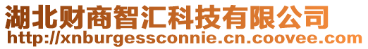 湖北財商智匯科技有限公司