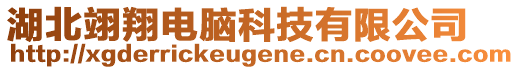 湖北翊翔電腦科技有限公司