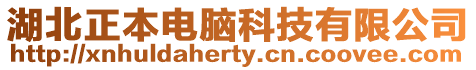 湖北正本電腦科技有限公司
