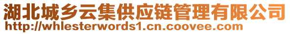 湖北城鄉(xiāng)云集供應(yīng)鏈管理有限公司