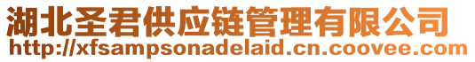 湖北圣君供應(yīng)鏈管理有限公司