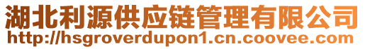 湖北利源供應(yīng)鏈管理有限公司