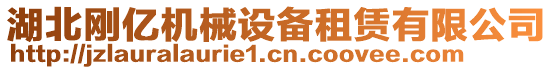 湖北剛億機械設備租賃有限公司