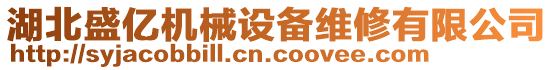 湖北盛億機械設(shè)備維修有限公司