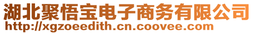 湖北聚悟寶電子商務有限公司