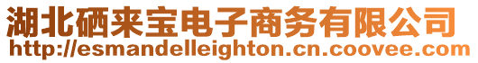 湖北硒來寶電子商務有限公司