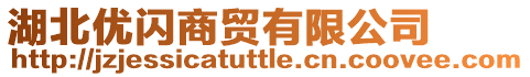 湖北優(yōu)閃商貿(mào)有限公司