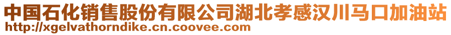 中國石化銷售股份有限公司湖北孝感漢川馬口加油站