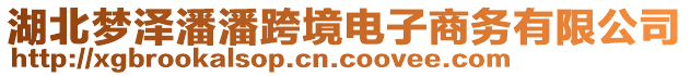 湖北夢澤潘潘跨境電子商務有限公司