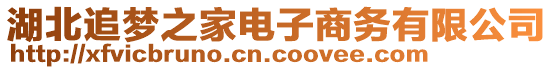 湖北追夢之家電子商務(wù)有限公司