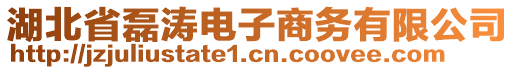 湖北省磊濤電子商務有限公司