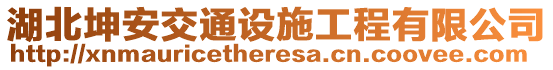 湖北坤安交通設(shè)施工程有限公司