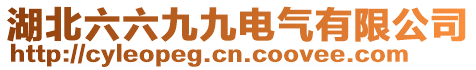 湖北六六九九電氣有限公司