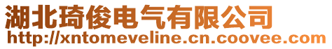 湖北琦俊電氣有限公司