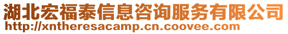 湖北宏福泰信息咨詢服務有限公司