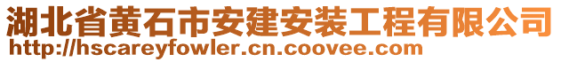 湖北省黃石市安建安裝工程有限公司