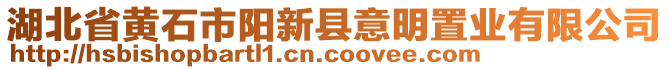 湖北省黃石市陽(yáng)新縣意明置業(yè)有限公司