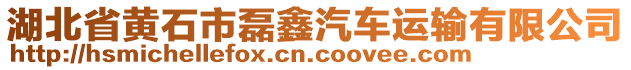 湖北省黃石市磊鑫汽車運(yùn)輸有限公司