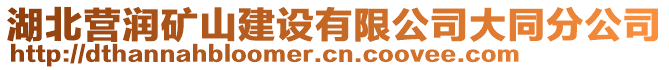 湖北營潤礦山建設有限公司大同分公司