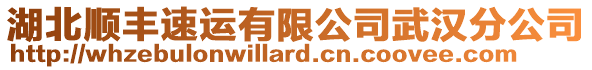 湖北順豐速運有限公司武漢分公司