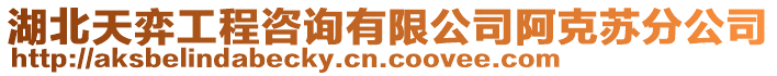 湖北天弈工程咨詢有限公司阿克蘇分公司
