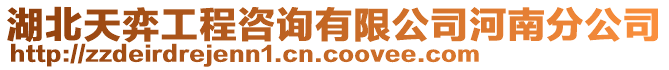 湖北天弈工程咨詢有限公司河南分公司