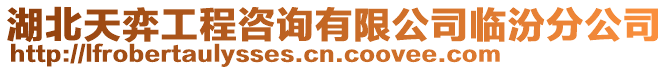 湖北天弈工程咨詢有限公司臨汾分公司