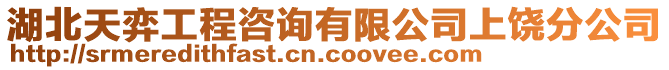 湖北天弈工程咨詢有限公司上饒分公司