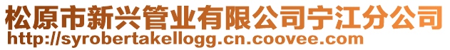 松原市新兴管业有限公司宁江分公司