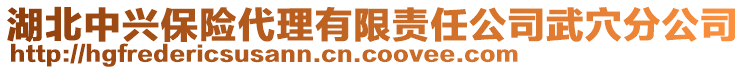 湖北中興保險代理有限責任公司武穴分公司
