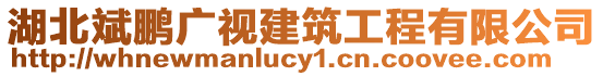 湖北斌鵬廣視建筑工程有限公司