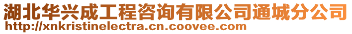湖北華興成工程咨詢有限公司通城分公司