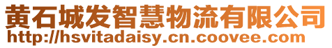 黃石城發智慧物流有限公司