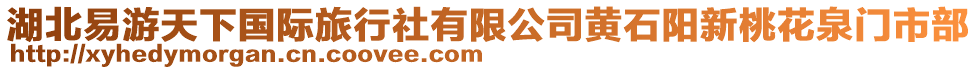 湖北易游天下國際旅行社有限公司黃石陽新桃花泉門市部