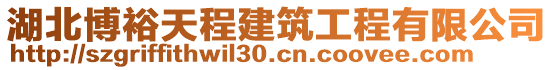 湖北博裕天程建筑工程有限公司