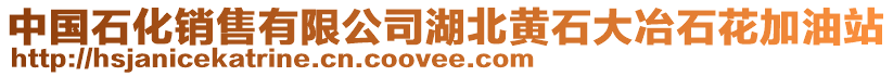 中國石化銷售有限公司湖北黃石大冶石花加油站