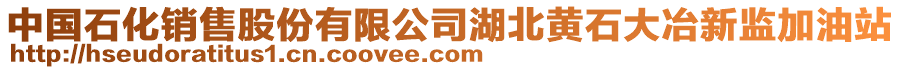 中國石化銷售股份有限公司湖北黃石大冶新監加油站