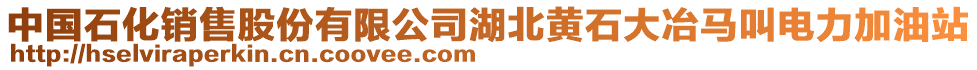 中國石化銷售股份有限公司湖北黃石大冶馬叫電力加油站