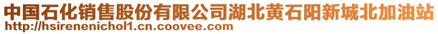 中國(guó)石化銷售股份有限公司湖北黃石陽(yáng)新城北加油站