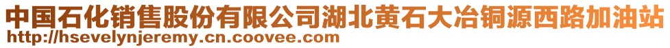 中國石化銷售股份有限公司湖北黃石大冶銅源西路加油站